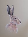 horace-th-resized-for-websitee-hare-sold-to-corrina-4th-august-2017
