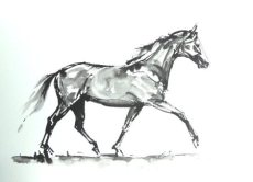 horse-ind-resized-for-websiteian-ink-sketch-sold-july-2017